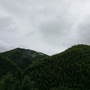 国产极品一区二区美女人体羞羞漫画
